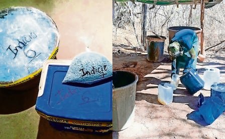 Se dispara en México cifra de aseguramientos de fentanilo; expertos lo ligan con presión de EU Se dispara en México cifra de aseguramientos de fentanilo; expertos lo ligan con presión de EU