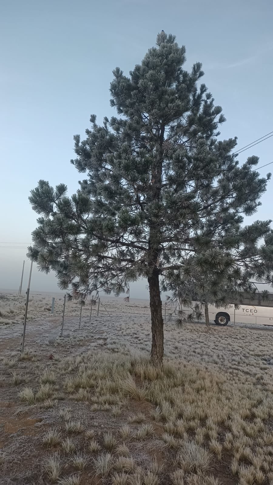 Se registran heladas en municipio de Jalacingo Se registran heladas en municipio de Jalacingo