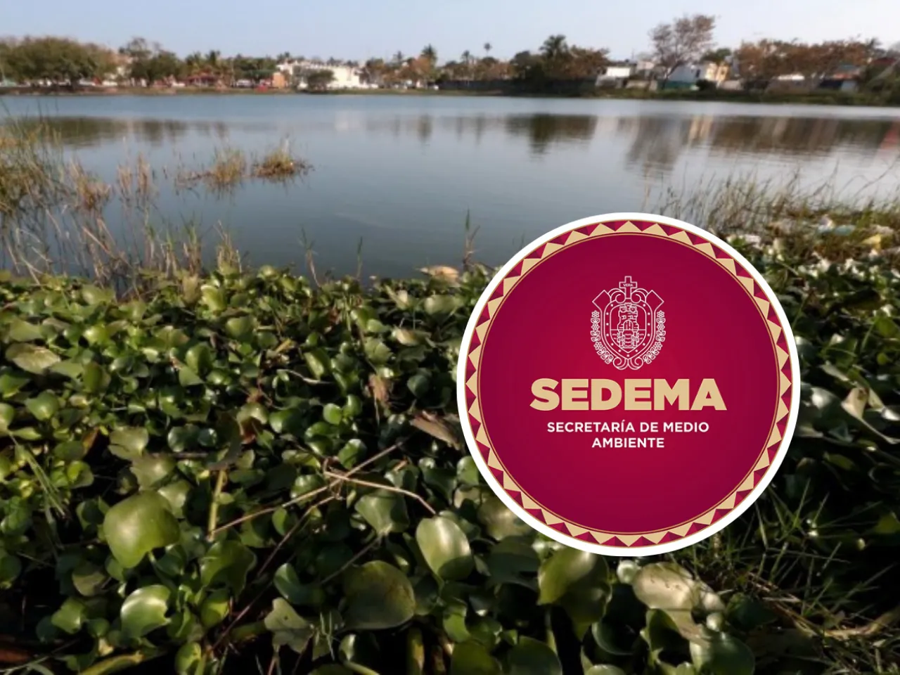 Crecieron número de áreas naturales protegidas en Veracruz