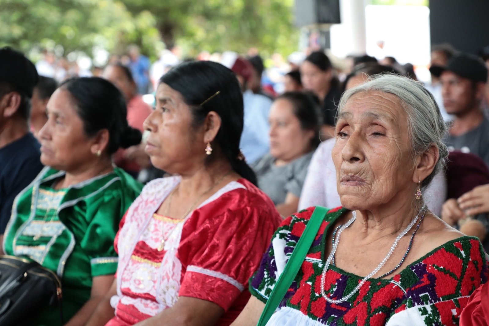 Veracruz, estado con mayor población de lenguas maternas Veracruz, estado con mayor población de lenguas maternas