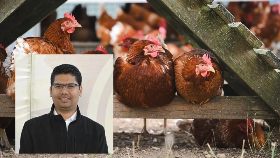 Granja avícola en Actopan cuenta con permisos y apoyo de pobladores