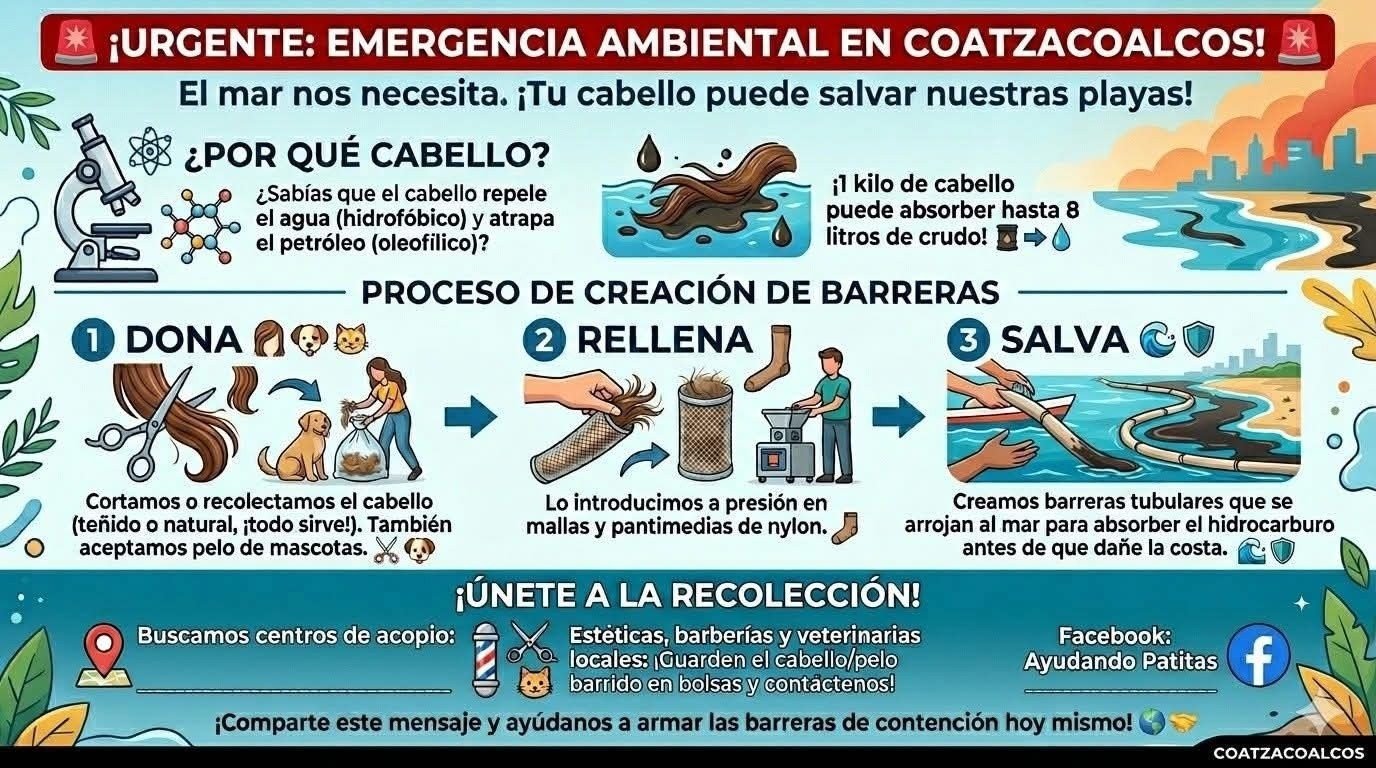 Llaman a donar cabello para contener derrame de hidrocarburo en playas del sur de Veracruz Llaman a donar cabello para contener derrame de hidrocarburo en playas del sur de Veracruz