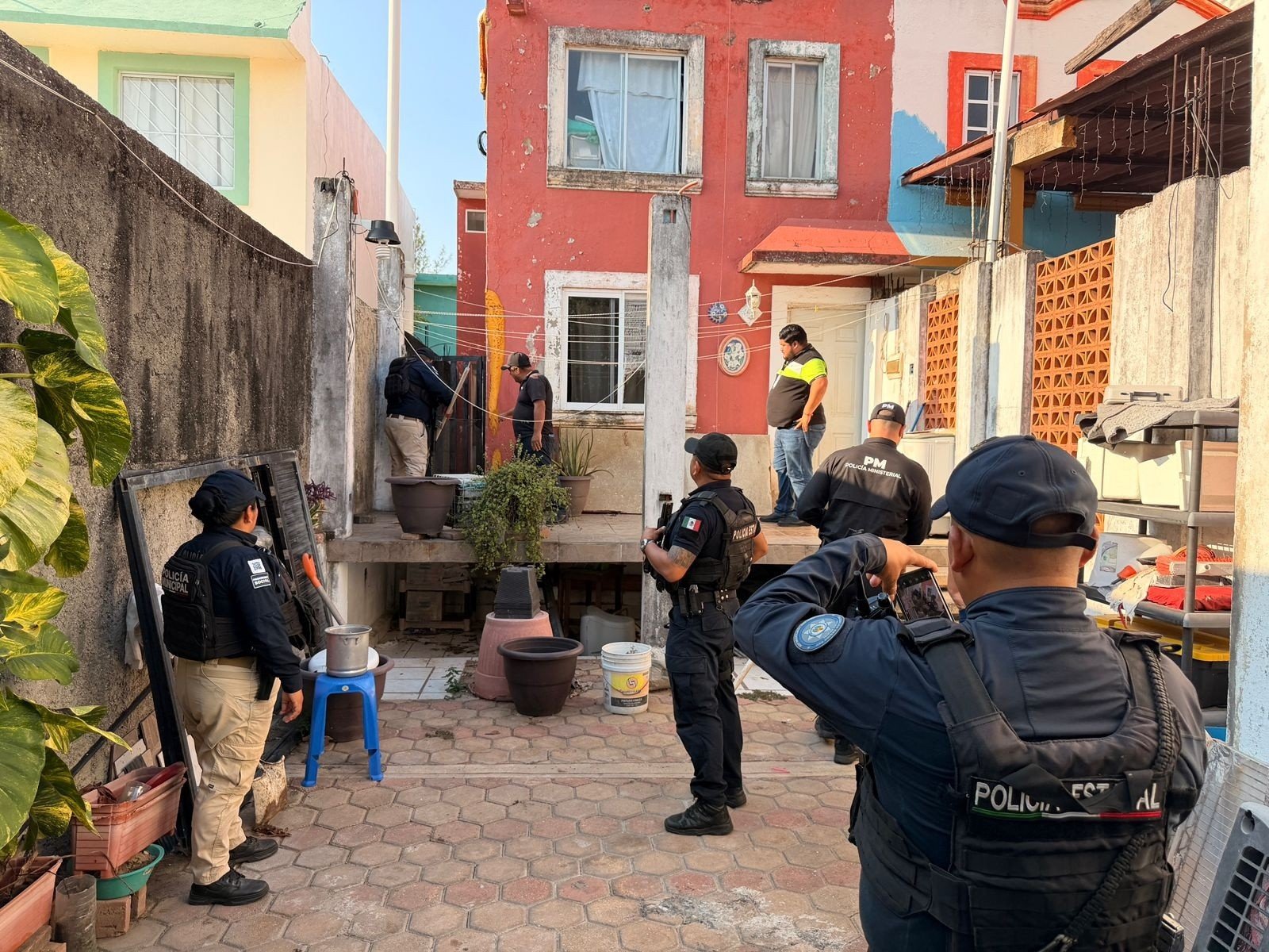 Rescatan a ocho perros en situación de maltrato tras cateo en Punta del Mar Rescatan a ocho perros en situación de maltrato tras cateo en Punta del Mar