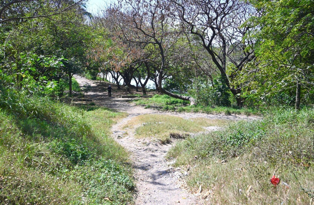 Supervisa Ayuntamiento de Veracruz senderos seguros para mujeres y niñas