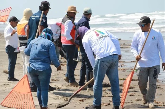 Limpieza de crudo en playas de Veracruz y Tabasco, con 85% de avance: Semarnat