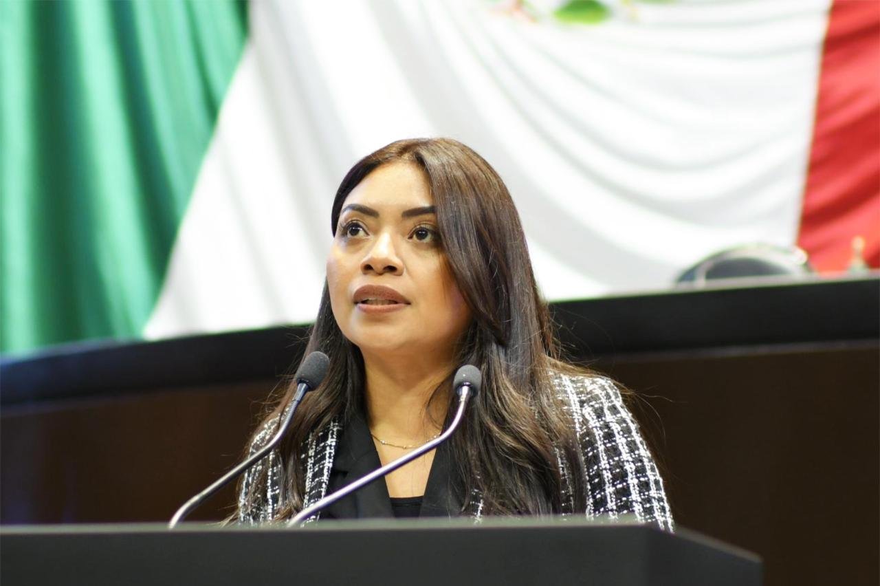Llama diputada Elizabeth Cervantes a reforzar acciones para garantizar el acceso al agua en México Llama diputada Elizabeth Cervantes a reforzar acciones para garantizar el acceso al agua en México