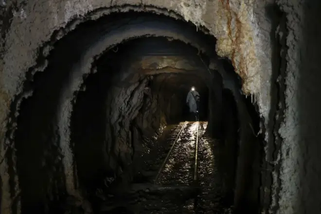 Entran en una cueva de Nueva Zelanda y descubren que es un portal a una época desconocida del pasado: en su interior hay fósiles de 16 especies de hace un millón de años Entran en una cueva de Nueva Zelanda y descubren que es un portal a una época desconocida del pasado: en su interior hay fósiles de 16 especies de hace un millón de años