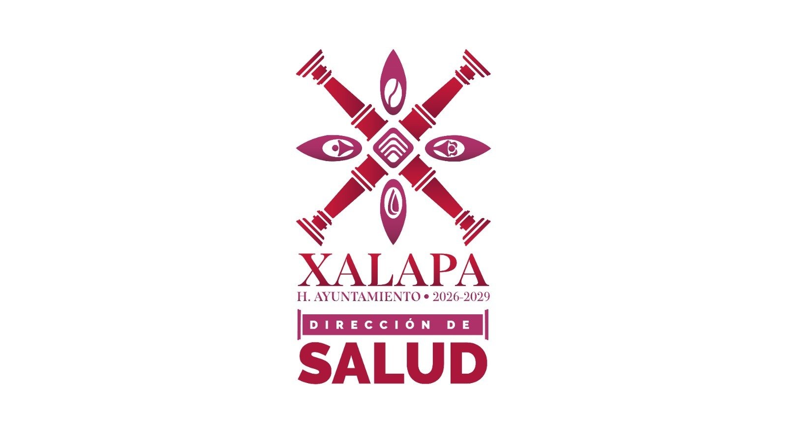 Impulsan actividades de baile en Xalapa por el bienestar de la salud mental y cultura de paz