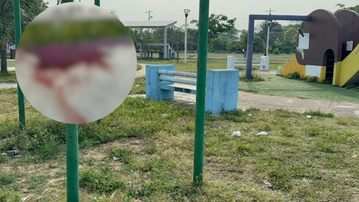 Localizan sin vida a mujer en parque de Ciudad Olmeca; indagan posible homicidio