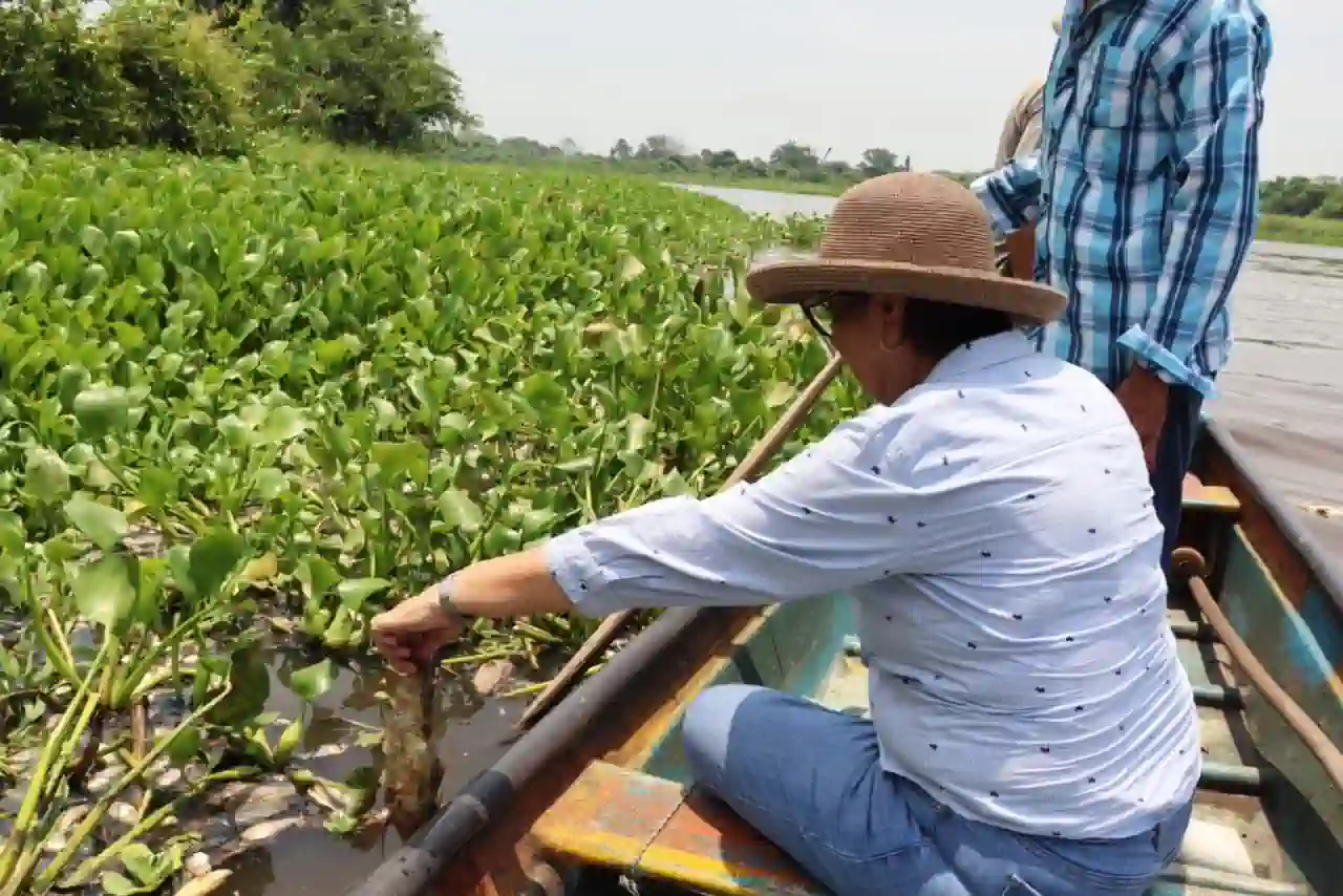 Diputada Mago Corro denuncia ante Profepa y PMA ecocidio y mortandad masiva de peces en Arroyo Hondo