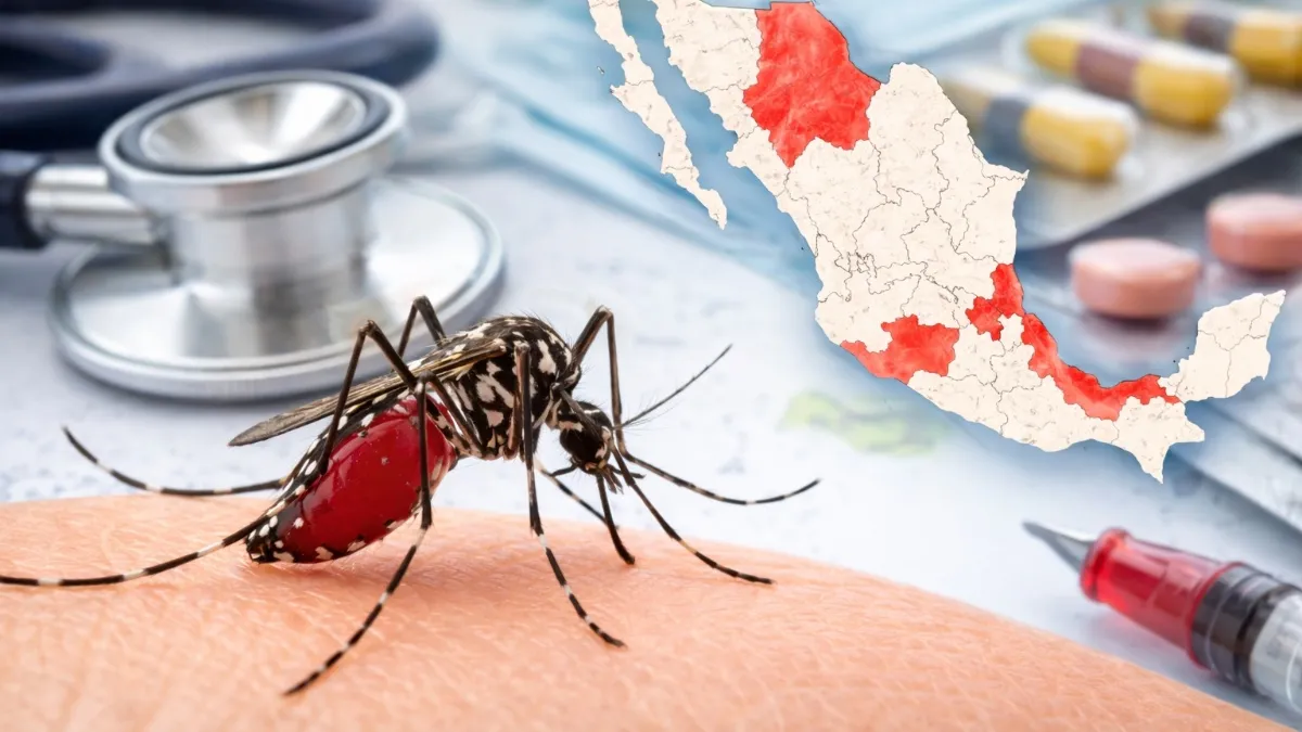 Veracruz, entre cinco estados con más dengue en México Veracruz, entre cinco estados con más dengue en México
