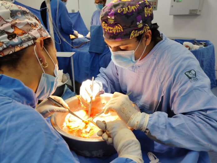 Realiza UMAE HE No. 14 del IMSS Veracruz Norte tercera procuración cadavérica del año Realiza UMAE HE No. 14 del IMSS Veracruz Norte tercera procuración cadavérica del año