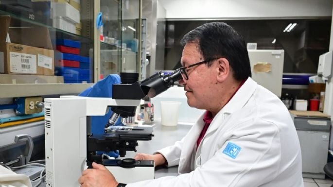 Instituto de Nutrición investiga veneno del alacrán para combatir la tuberculosis Instituto de Nutrición investiga veneno del alacrán para combatir la tuberculosis