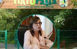 Rocío Nahle destinará recursos para rehabilitar el parque Naturalia tras afectaciones por tormenta. Rocío Nahle destinará recursos para rehabilitar el parque Naturalia tras afectaciones por tormenta.