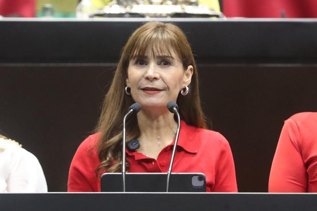 Iniciativa propone prohibir la posesión y reproducción de fauna silvestre como mascotas para su comercialización Iniciativa propone prohibir la posesión y reproducción de fauna silvestre como mascotas para su comercialización