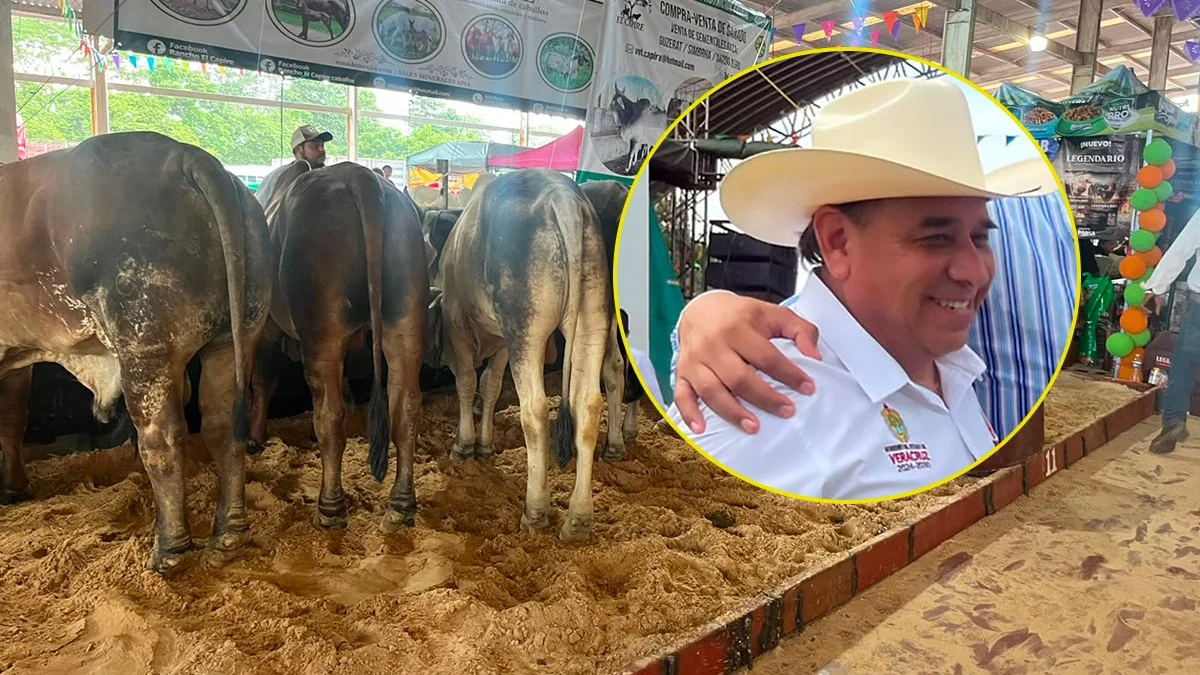 Leche para el Bienestar busca comprar 45 millones de litros a productores de Veracruz en 2026 Leche para el Bienestar busca comprar 45 millones de litros a productores de Veracruz en 2026