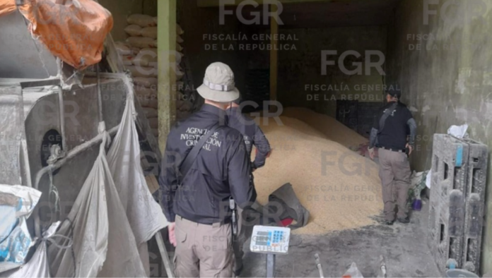 Asegura FGR un predio relacionado con el robo de transporte y recuperaron 22 toneladas de maíz en Sayula Asegura FGR un predio relacionado con el robo de transporte y recuperaron 22 toneladas de maíz en Sayula