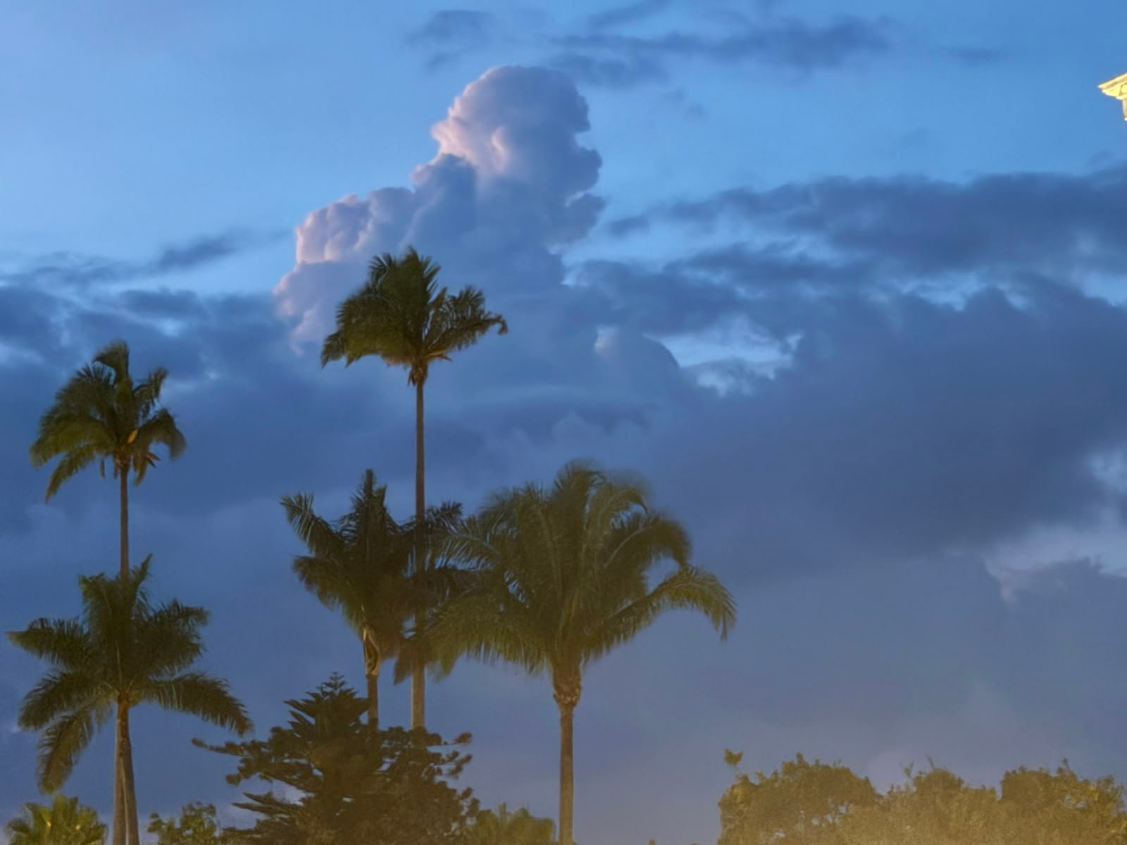 Veracruz tendrá más lluvias y tormentas este jueves; prevén rachas de viento Veracruz tendrá más lluvias y tormentas este jueves; prevén rachas de viento