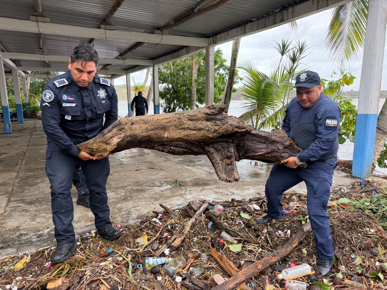 Plan Tajín: apoyo y atención a las familias damnificadas del sur del estado Plan Tajín: apoyo y atención a las familias damnificadas del sur del estado