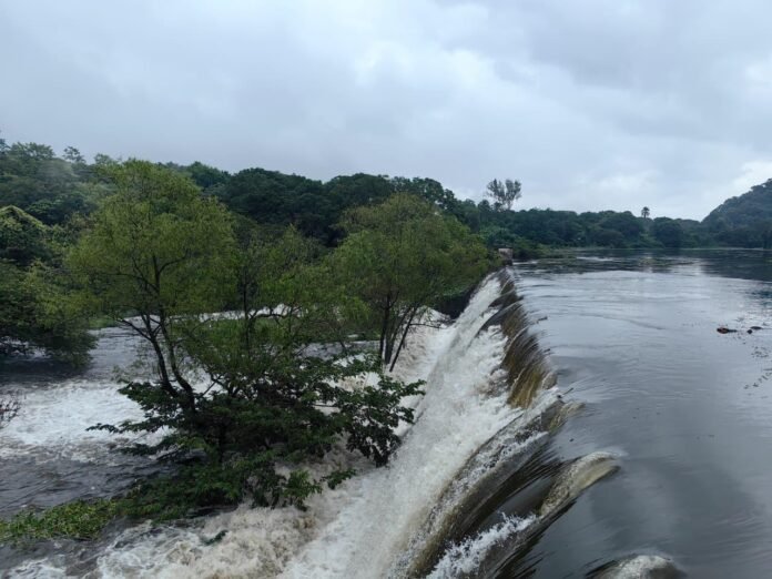 CFE y autoridades realizan acciones preventivas para proteger a la población de Catemaco y San Andrés Tuxtla CFE y autoridades realizan acciones preventivas para proteger a la población de Catemaco y San Andrés Tuxtla