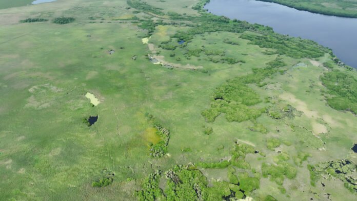 Profepa y BlueMX Mangrove fortalecen alianzas para la restauración de humedales en Veracruz Profepa y BlueMX Mangrove fortalecen alianzas para la restauración de humedales en Veracruz