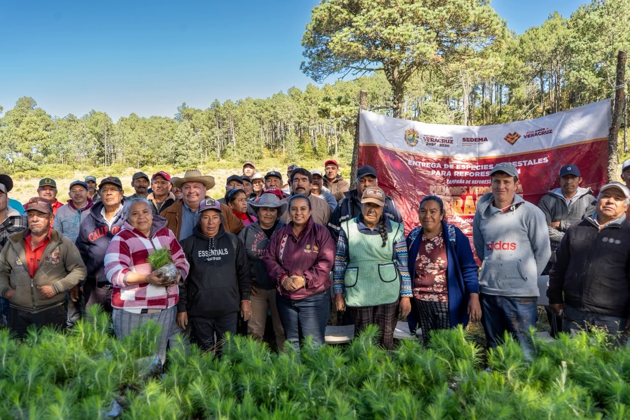 Reforesta Sedema 3.5 hectáreas en el ejido Las Vigas con 3 mil 500 árboles Reforesta Sedema 3.5 hectáreas en el ejido Las Vigas con 3 mil 500 árboles